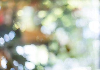 Obraz premium Blurred green leaf window glass background,Blur of abstract green garden and flower background from window.