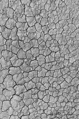 Close-up of cracked, dry soil surface,Close-up of cracked dry soil surface caused by drought and extreme heat in rural farmland,Cracked soil.