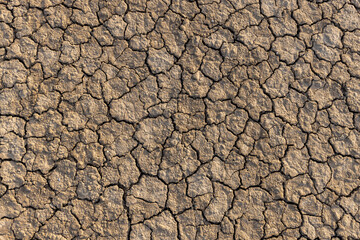Cracked soil, dry soil, global warming,brown cracked soil for background.