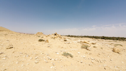 Arid Desert Landscape with Distant Palm Trees