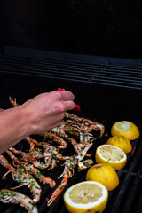 Person hands preparing grilling Virgin lobster and citrus on hot BBQ gas grill with great care and lots of garnish.