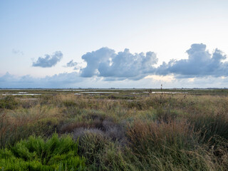 landscape with a river