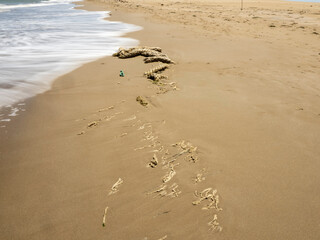  Old rope washed ashore on a sandy beach, symbol of marine pollution and waste in nature.
