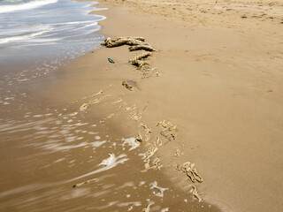  Old rope washed ashore on a sandy beach, symbol of marine pollution and waste in nature.
