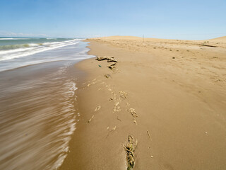  Old rope washed ashore on a sandy beach, symbol of marine pollution and waste in nature.
