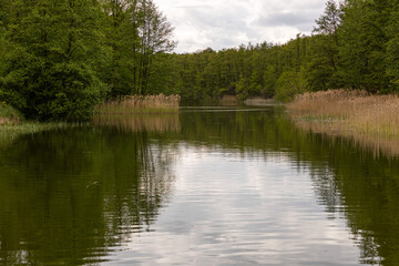 Wasserlandschaft am Röddelinsee, Templin, Brandenburg