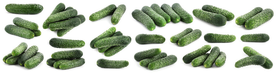 Fresh ripe cucumbers isolated on white, collage