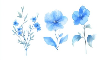 Beautiful Watercolor Floral Illustrations of Blue Blooms with Delicate Petals and Foliage, Perfect for Botanical Designs and Nature-Inspired Art Projects