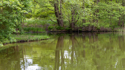 Wasserlandschaft am Röddelinsee, Templin, Brandenburg