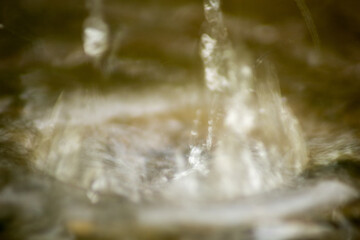 Abstract Nature of Water and Leaves Macro Texture