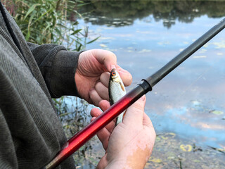 A fisherman holds a fish in his hands. Fishing with a fishing rod. Body of water in nature: lake, river. Hands with vitiligo spots