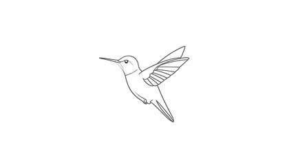 Obraz premium Simple line drawing of a hummingbird in flight