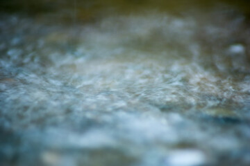 Abstract Nature of Water and Leaves Macro Texture