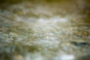 Abstract Nature of Water and Leaves Macro Texture