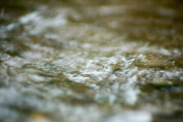 Abstract Nature of Water and Leaves Macro Texture