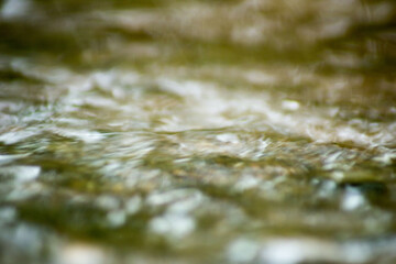 Abstract Nature of Water and Leaves Macro Texture