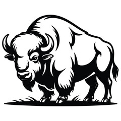 Buffalo