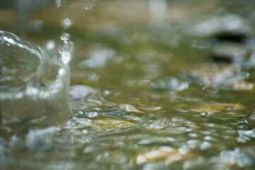 Abstract Nature of Water and Leaves Macro Texture