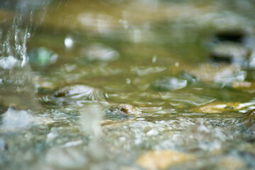 Abstract Nature of Water and Leaves Macro Texture