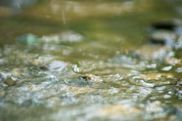 Abstract Nature of Water and Leaves Macro Texture