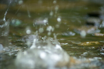 Abstract Nature of Water and Leaves Macro Texture