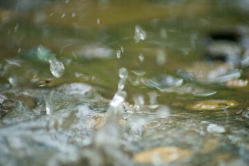 Abstract Nature of Water and Leaves Macro Texture