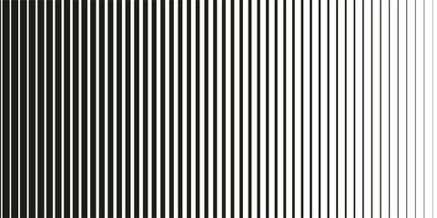 Obraz premium Abstract wavy background. Thin line on white., abstract background with business lines,Abstract wavy background. Thin line on white. line arts modern blend