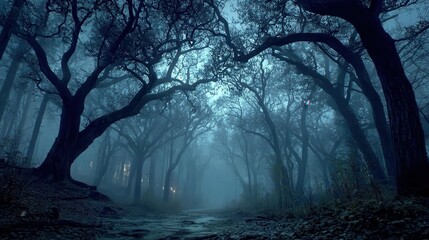 Dark Forest Path Mysterious Foggy Night Scene