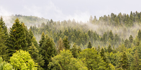 Schwarzwald Landschaft mit Nebel, Regen, Wolken und Sonne