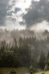 Schwarzwald Landschaft mit Nebel, Regen, Wolken und Sonne