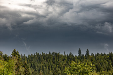 Schwarzwald Landschaft mit Nebel, Regen, Wolken und Sonne