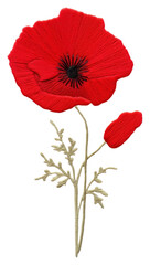 PNG Poppy in embroidery style flower plant inflorescence.