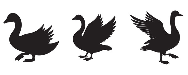 Silhouette set of geese in various poses, vector illustration isolated on white background for wildlife, farming, and design concepts