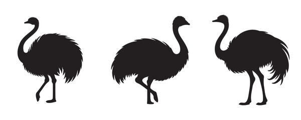 Fototapeta premium Silhouette set of ostriches in different poses, vector illustration isolated on white background for wildlife and design themes