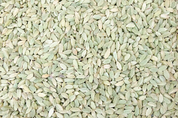 Pile of green seeds