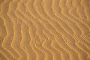Fototapeta premium Closeup of rippled sand dunes in the desert, showcasing natural patterns and textures