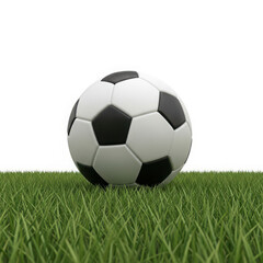 Fototapeta premium Classic soccer ball resting on lush green grass field