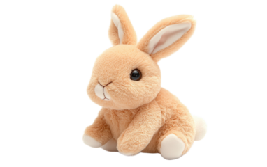 Bunny rabbit plush doll on white background,png