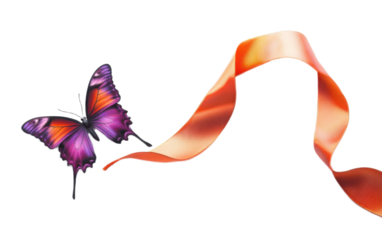 Butterfly with ribbon on white background,png