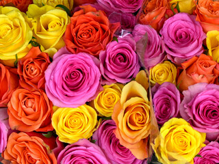 Colourful bunches of roses at flower Market