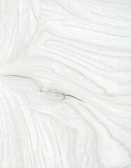Obraz premium Light wood grain texture (2)