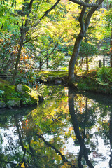 南禅寺の塔頭　天授庵　美しい池（日本京都府京都市）Tenjuan (Tenju-an), a...