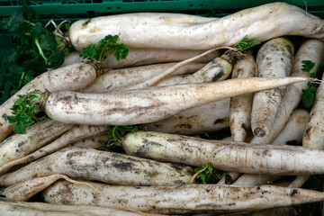 Raw fresh Japanese Radish (Daikon) on a greengrocer stall at a farmers market