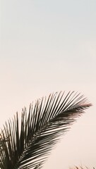 Obraz premium Minimalist pastel palm leaves overlapping gently forming balanced symmetry beneath pale horizon sky with muted glow