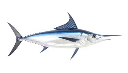 Graceful Swordfish: A stunning side-view portrait of a swordfish, its sleek body and elongated bill shimmering with a display of aquatic majesty and underwater grace.