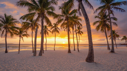 Fototapeta premium Palm Trees on Sandy Beach at Warm Sunset, Tropical Paradise