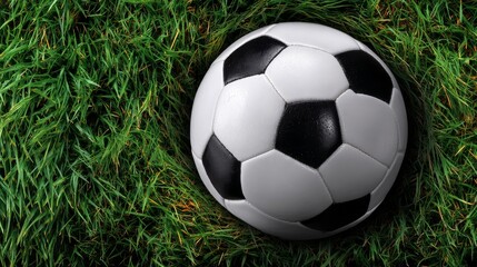Obraz premium Classic Black and White Soccer Ball Resting on Vibrant Green Grass in Natural Outdoor Setting