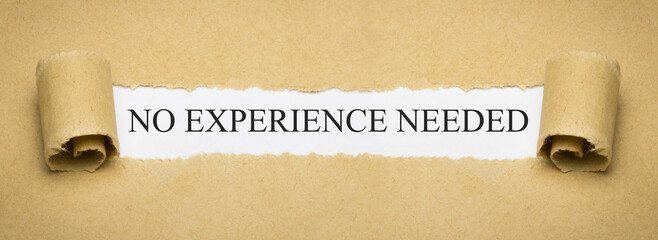 no experience needed