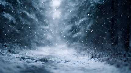 Snow covered forest path in a peaceful winter scene