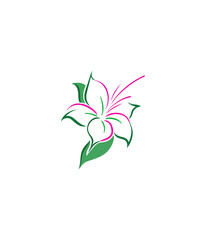 Vibrant pink and green flower illustration